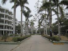 化州市第八國小