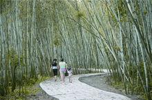 東鎮街道[廣東省信宜市東鎮]