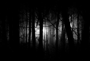 黑暗的森林