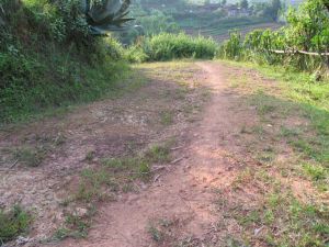 扎老寨自然村 扎老寨自然村