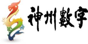 神州數字新金融科技集團 神州數字新金融科技集團