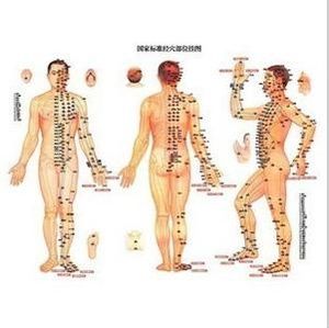 經絡學說 經絡學說