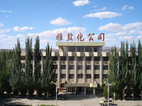 中鹽雅布賴鹽化集團有限公司 中鹽雅布賴鹽化集團有限公司