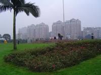 大洲廣場 大洲廣場