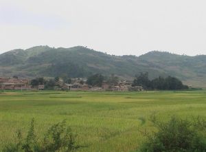 阿野大寨村 阿野大寨村