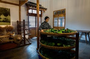 蘇州絲綢博物館 蘇州絲綢博物館