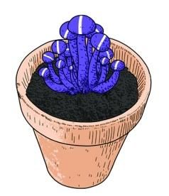 工作蘑菇 工作蘑菇