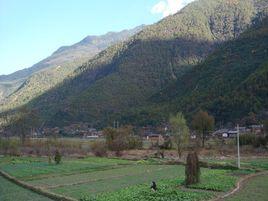 金莊村委會 金莊村委會