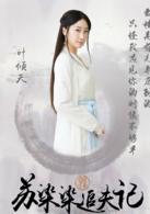 蘇染染追夫記[2016年戴維執導網路劇]