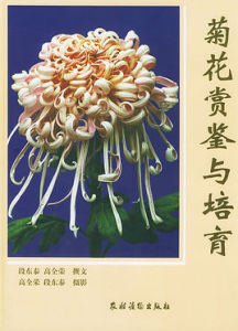 菊花賞鑒與培育 菊花賞鑒與培育