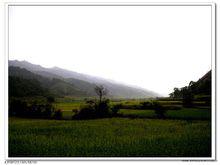 靖州苗族侗族自治縣