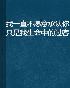 我一直不願意承認你只是我生命中的過客 我一直不願意承認你只是我生命中的過客