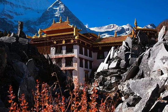 往後餘生,我想和你有個家,就在稻城亞丁!