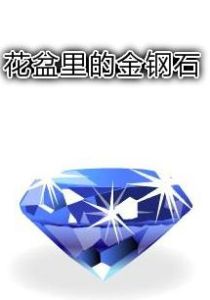 《花盆裡的金鋼石》 《花盆裡的金鋼石》