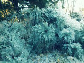 北京冰雕大學 北京冰雕大學