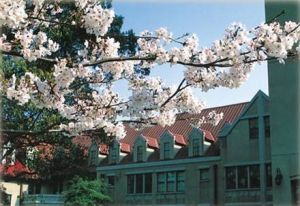 日本活水女子大學 日本活水女子大學