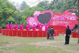 第二屆中國相親大會 第二屆中國相親大會