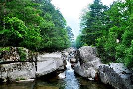 通天河國家森林公園 通天河國家森林公園