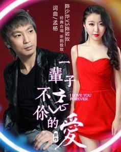 一輩子不忘你的愛