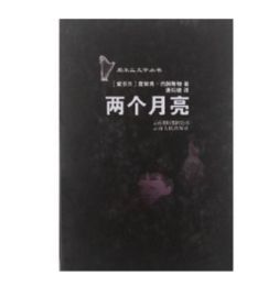 兩個月亮[2003年台灣電視劇]