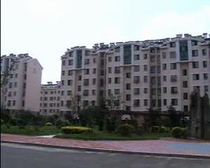 空港新苑 空港新苑