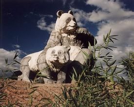 熊貓環島 熊貓環島