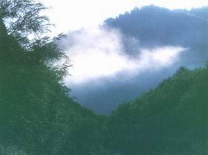 黃崗梁國家森林公園