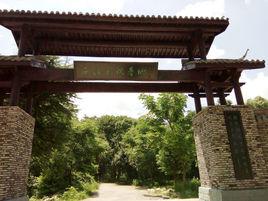 西溪影視基地 西溪影視基地