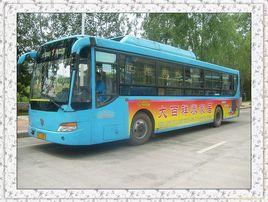 西寧公交1路 西寧公交1路