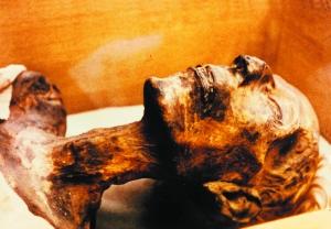 世界上最著名的一具木乃伊：古埃及名王拉美西斯二世的木乃伊。