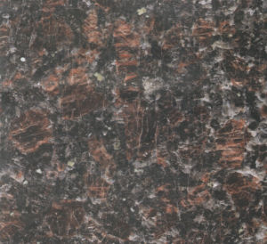 英國棕-2 | Tan Brown |