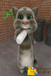 會說話的湯姆貓拼圖 會說話的湯姆貓拼圖