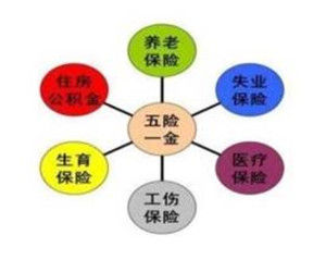 社會保險稅 社會保險稅