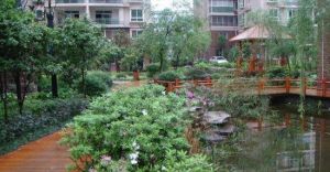 麓谷公園 麓谷公園