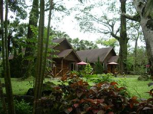 嘉義農場 嘉義農場