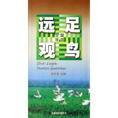 遠足觀鳥 遠足觀鳥