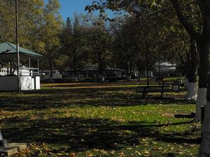 圖奧勒米 圖奧勒米