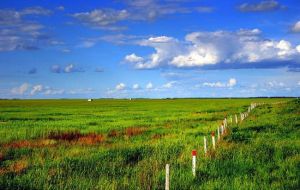 靠山草原 靠山草原
