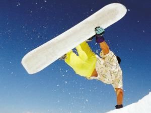 神經上下兼修原則 神經上下兼修原則