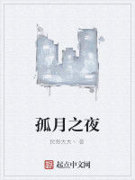 孤月之夜 孤月之夜