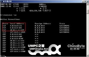 惡意代碼 惡意代碼