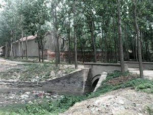 張君墓鎮 張君墓鎮