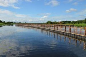 黑瞎子島濕地公園 黑瞎子島濕地公園