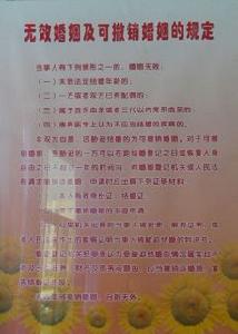 可撤銷婚姻 可撤銷婚姻