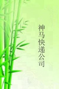 神馬快遞公司 神馬快遞公司