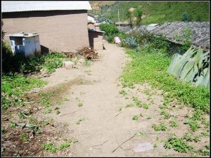 大橋大河邊村 大橋大河邊村