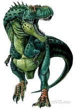 特暴龍未定種 特暴龍未定種