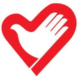 中國青年志願者協會 中國青年志願者協會