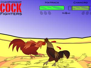 激烈的鬥雞 激烈的鬥雞