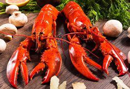 波士頓龍蝦 波士頓龍蝦